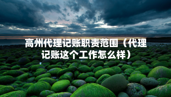高州代理記賬職責(zé)范圍（代理記賬這個工作怎么樣）