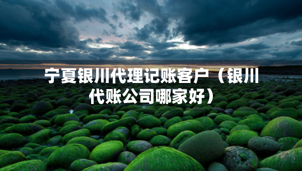 寧夏銀川代理記賬客戶（銀川代賬公司哪家好）