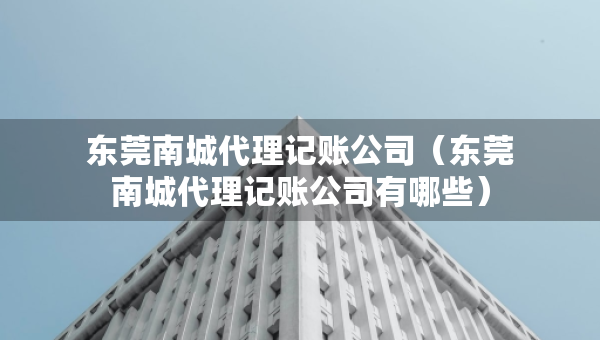 東莞南城代理記賬公司（東莞南城代理記賬公司有哪些）