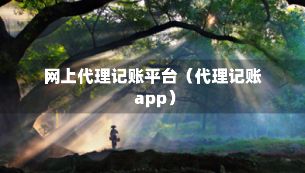 網(wǎng)上代理記賬平臺(tái)（代理記賬 app）