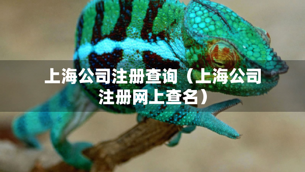上海公司注冊查詢（上海公司注冊網(wǎng)上查名）