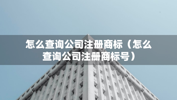 怎么查詢公司注冊商標(biāo)（怎么查詢公司注冊商標(biāo)號）