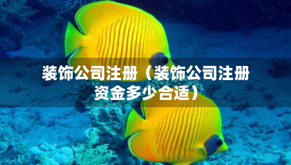 裝飾公司注冊(cè)（裝飾公司注冊(cè)資金多少合適）