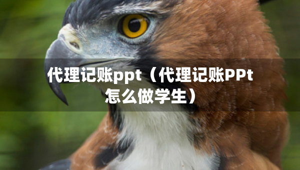代理記賬ppt（代理記賬PPt怎么做學生）