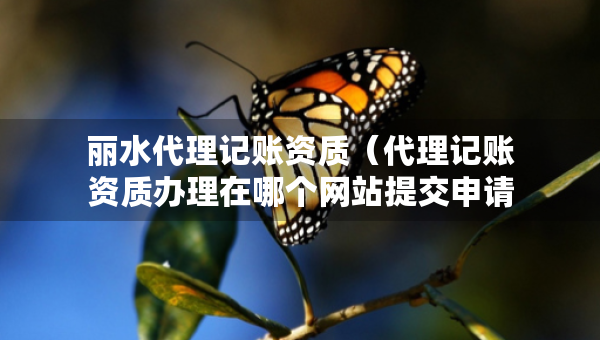 麗水代理記賬資質(zhì)（代理記賬資質(zhì)辦理在哪個網(wǎng)站提交申請）