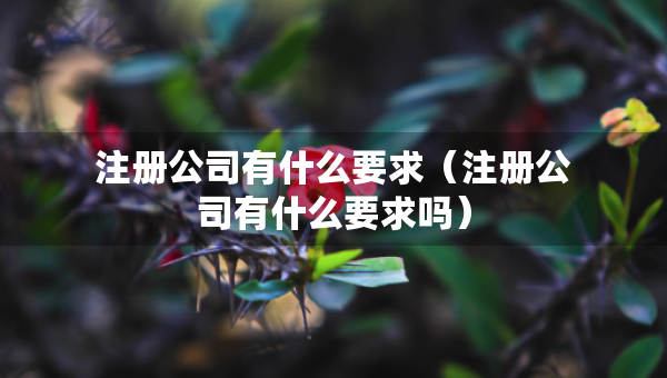 注冊公司有什么要求（注冊公司有什么要求嗎）
