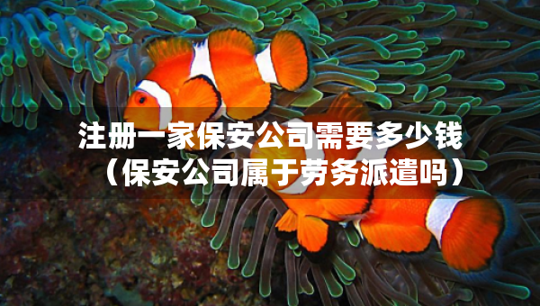 注冊一家保安公司需要多少錢（保安公司屬于勞務派遣嗎）