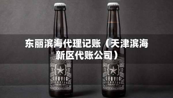 東麗濱海代理記賬（天津?yàn)I海新區(qū)代賬公司）