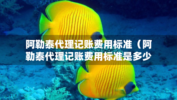 阿勒泰代理記賬費(fèi)用標(biāo)準(zhǔn)（阿勒泰代理記賬費(fèi)用標(biāo)準(zhǔn)是多少）