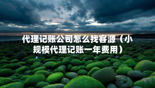 代理記賬公司怎么找客源（小規(guī)模代理記賬一年費(fèi)用）