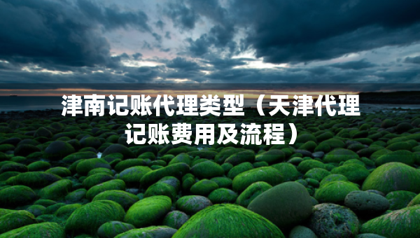 津南記賬代理類型（天津代理記賬費用及流程）