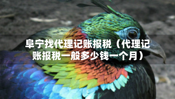 阜寧找代理記賬報稅（代理記賬報稅一般多少錢一個月）