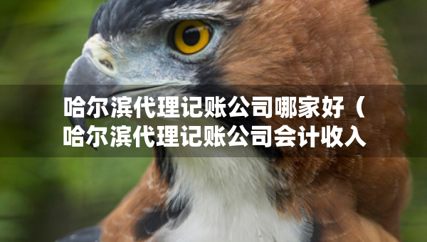 哈爾濱代理記賬公司哪家好（哈爾濱代理記賬公司會計(jì)收入）