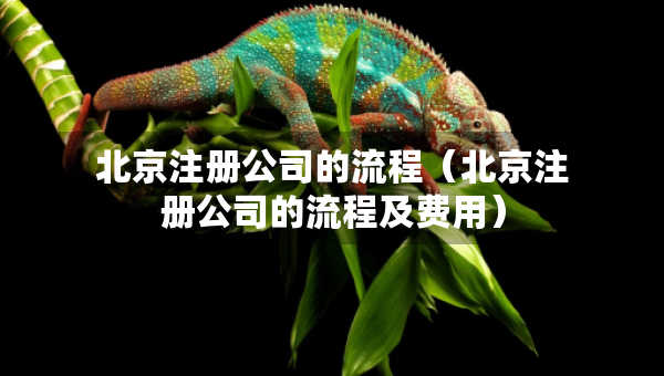 北京注冊(cè)公司的流程（北京注冊(cè)公司的流程及費(fèi)用）