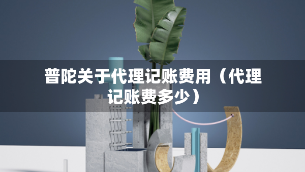 普陀關(guān)于代理記賬費(fèi)用（代理記賬費(fèi)多少）