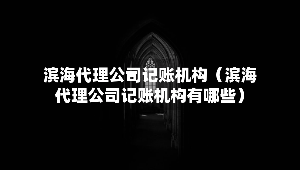 濱海代理公司記賬機構(gòu)（濱海代理公司記賬機構(gòu)有哪些）