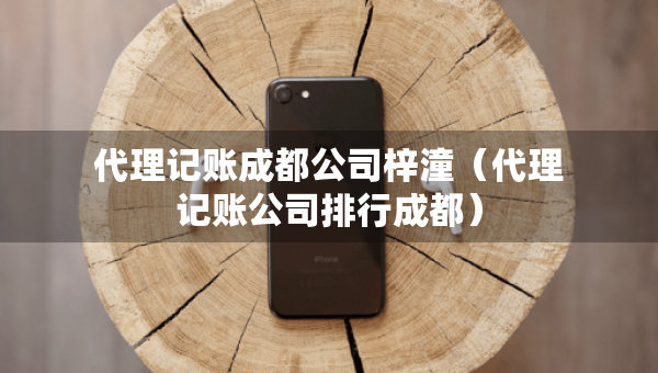 代理記賬成都公司梓潼（代理記賬公司排行成都）