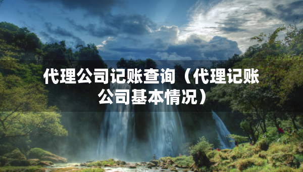 代理公司記賬查詢（代理記賬公司基本情況）