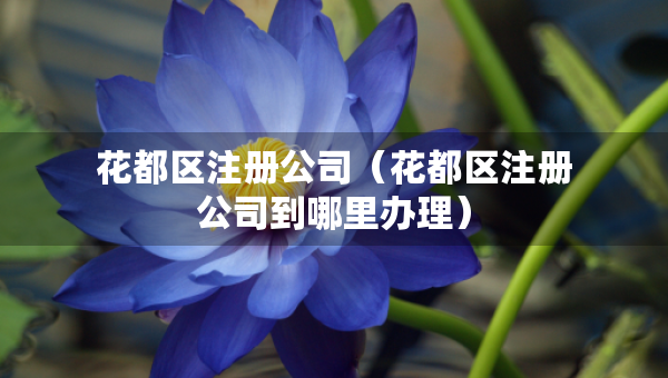 花都區(qū)注冊公司（花都區(qū)注冊公司到哪里辦理）