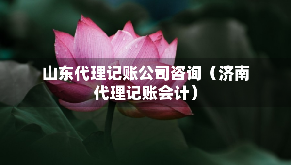 山東代理記賬公司咨詢（濟(jì)南代理記賬會(huì)計(jì)）