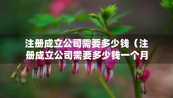 注冊成立公司需要多少錢（注冊成立公司需要多少錢一個月）
