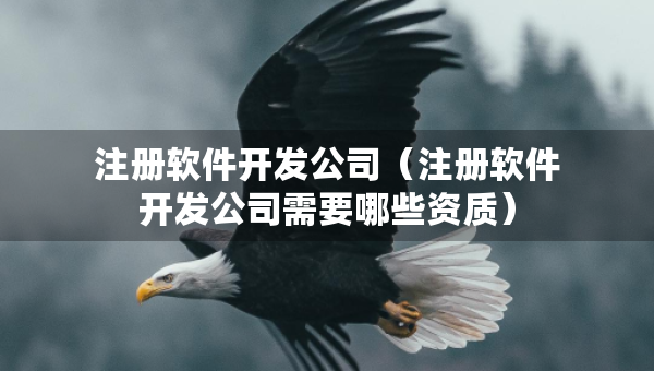 注冊軟件開發(fā)公司（注冊軟件開發(fā)公司需要哪些資質(zhì)）