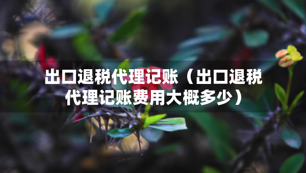 出口退稅代理記賬（出口退稅代理記賬費(fèi)用大概多少）