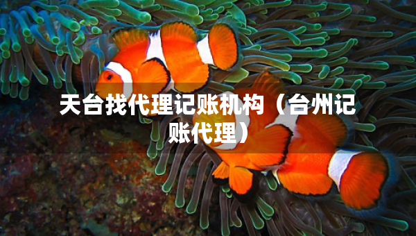 天臺找代理記賬機構(gòu)（臺州記賬代理）