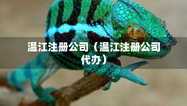 溫江注冊公司（溫江注冊公司代辦）