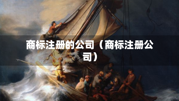 商標注冊的公司（商標注冊公司）