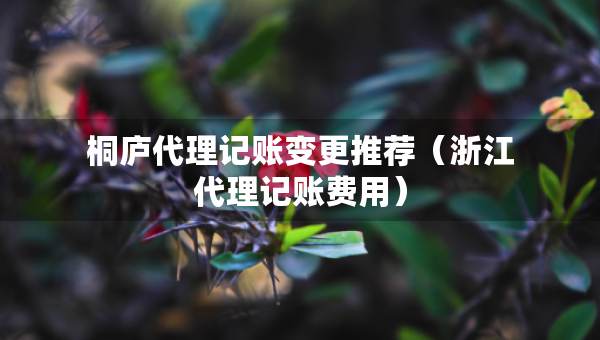 桐廬代理記賬變更推薦（浙江代理記賬費(fèi)用）