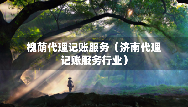 槐蔭代理記賬服務(wù)（濟(jì)南代理記賬服務(wù)行業(yè)）