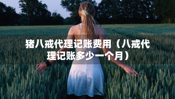 豬八戒代理記賬費用（八戒代理記賬多少一個月）