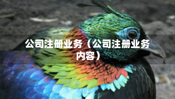 公司注冊業(yè)務（公司注冊業(yè)務內容）