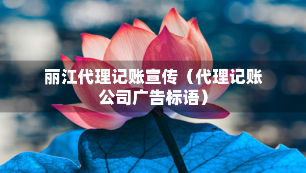 麗江代理記賬宣傳（代理記賬公司廣告標(biāo)語(yǔ)）