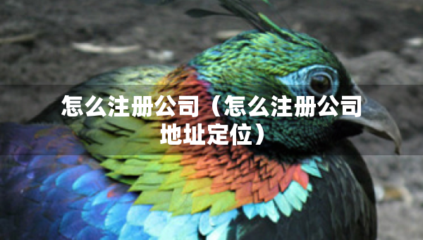 怎么注冊公司（怎么注冊公司地址定位）