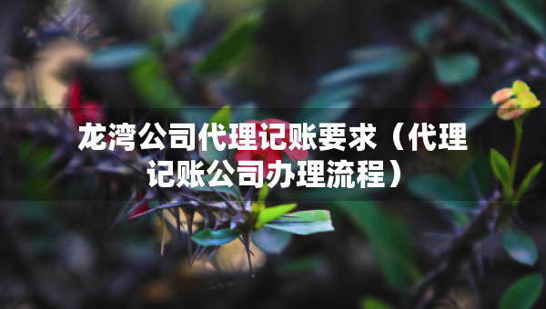 龍灣公司代理記賬要求（代理記賬公司辦理流程）