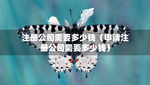 注冊(cè)公司需要多少錢（申請(qǐng)注冊(cè)公司需要多少錢）