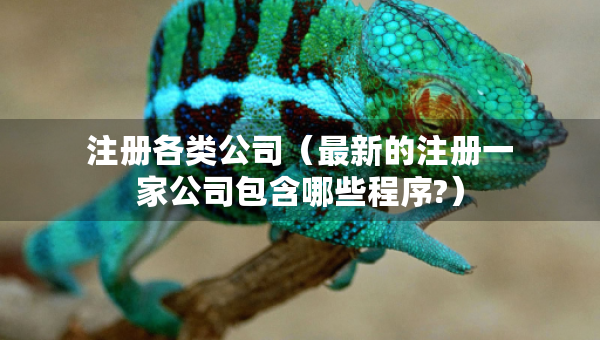 注冊各類公司（最新的注冊一家公司包含哪些程序?）