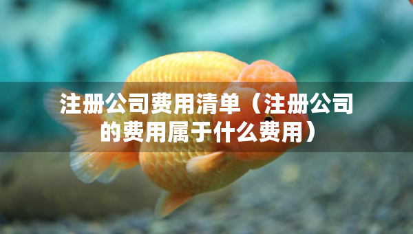 注冊(cè)公司費(fèi)用清單（注冊(cè)公司的費(fèi)用屬于什么費(fèi)用）