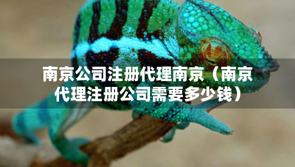 南京公司注冊代理南京（南京代理注冊公司需要多少錢）