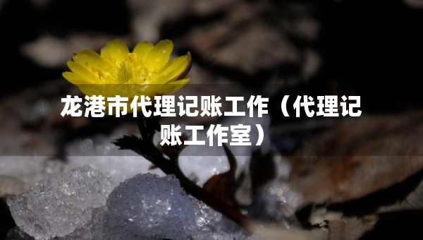 龍港市代理記賬工作（代理記賬工作室）