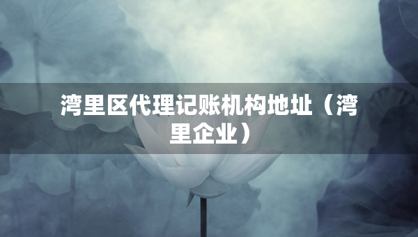 灣里區(qū)代理記賬機構地址（灣里企業(yè)）