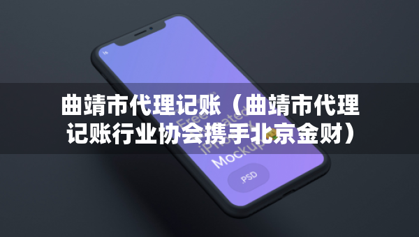 曲靖市代理記賬（曲靖市代理記賬行業(yè)協(xié)會攜手北京金財(cái)）