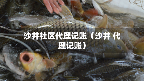沙井社區(qū)代理記賬（沙井 代理記賬）