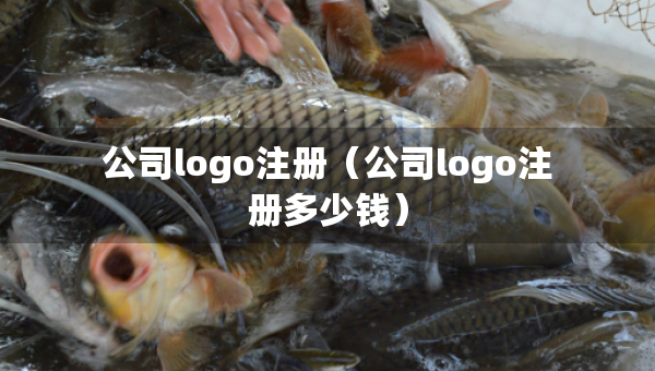 公司logo注冊(cè)（公司logo注冊(cè)多少錢）