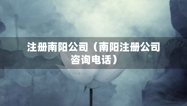 注冊(cè)南陽公司（南陽注冊(cè)公司咨詢電話）