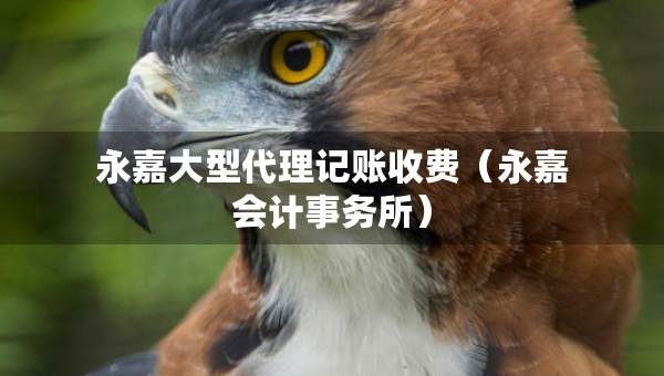 永嘉大型代理記賬收費（永嘉會計事務所）