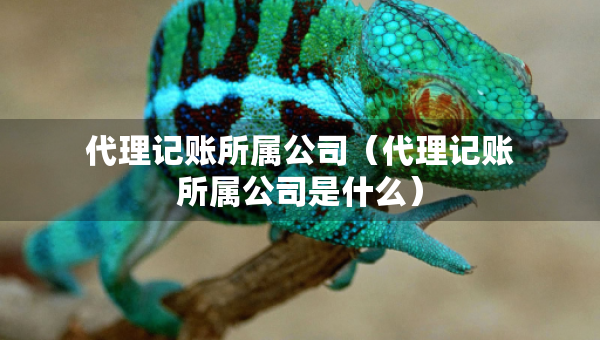 代理記賬所屬公司（代理記賬所屬公司是什么）