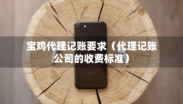 寶雞代理記賬要求（代理記賬公司的收費標(biāo)準(zhǔn)）
